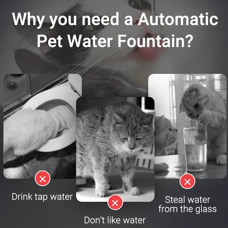 ROJECO Smart Cat Water Fountain Automatic Pet Water Dispenser For Cats Dog Drinking Purifier Fountain with Recirculate Filters