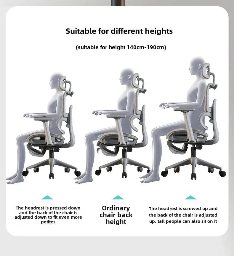 Ergonomic Chair Waist Support Office Chair 4D Armrest Computer Gaming Seat Lift Swivel Chair Home Furniture 3D Headrest